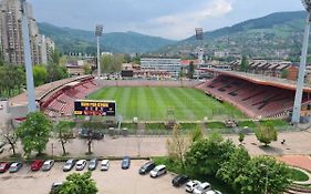 Bilino Polje